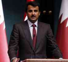 Emir al 4-lea din Qatar Tamim bin Hamad Al Thani: biografie