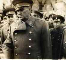AA Grechko, mareșalul Uniunii Sovietice: biografie și fotografii