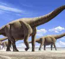 Știți care este cel mai mare dinozaur din lume?