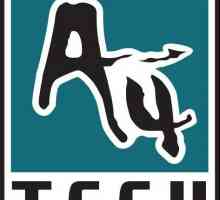 A4Tech - un mouse pentru jucători adevărați. Mouse Review A4Tech