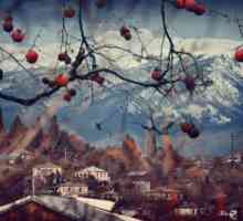 Abhazia în timpul iernii: fotografie, recenzii. Ce să vedem în Abhazia în timpul iernii?