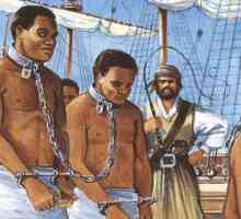 Abolitionismul este ... Definiția, istoria și faptele interesante