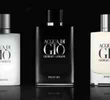 Acqua Di Gio de Giorgio Armani: un parfum cult pentru bărbați