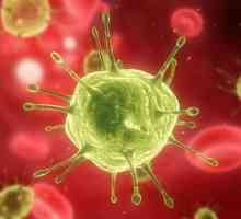 Adenovirus (adenovirus) - ce este? Cum se trateaza adenovirusul?