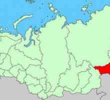 Diviziune administrativă, pavilion și emblemă a regiunii Amur
