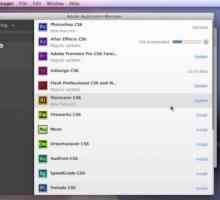 Adobe Application Manager: ce este acest program și pot să scap de el?