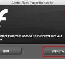 Adobe Flash Player: cum se elimină complet add-on-ul?