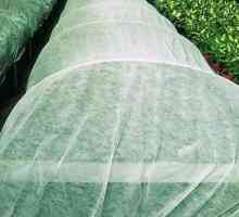 `Agrospan` - material de acoperire pentru protecția plantelor