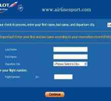 `Aeroflot`: check-in online