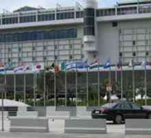 Aeroportul Miami - terminalul principal din sud-estul Florida (SUA): istorie, infrastructură,…
