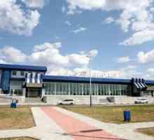 Aeroportul Vladikavkaz: istorie, descriere, infrastructură