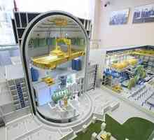 NPP-2006: proiect de nouă generație a centralei nucleare rusești