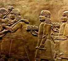 Akkadian este dialectul vechi al Orientului Mijlociu