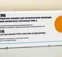 ACT-HIB (vaccin): instrucțiuni de utilizare. Vaccinul împotriva infecției cu Hib