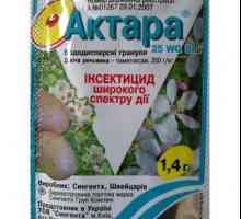 `Aktara` (insecticid): instrucțiuni de utilizare și recenzii