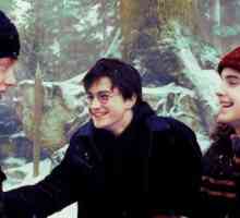 Actorii "Harry Potter și Pocalul de Foc": toți își amintesc chipurile
