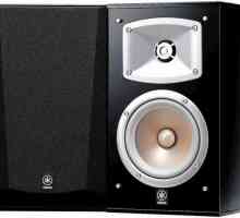 Sistemul acustic Yamaha NS-333: specificații, fotografii și recenzii