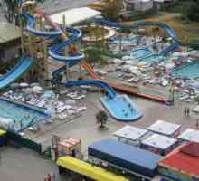 Parcul acvatic din Gagra este cel mai bun loc pentru copii