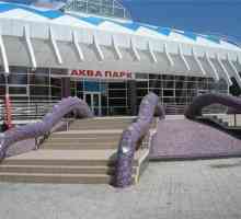 Aquapark în Kostanay `Octopus`: stropi și distracție pe tot parcursul anului!