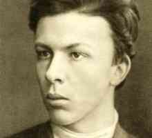 Alexander Ulyanov - revoluționar-Narodovoltsi, fratele lui Lenin. Biografie, activitate…