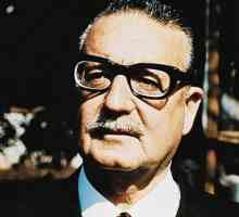 Allende Salvador: biografie, fotografii, citate. Cine a detronat Salvador Allende?