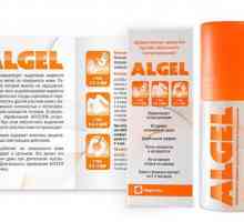 "Alleg" pentru picioare: instrucțiuni de utilizare. Deodorant din mirosul transpirației…