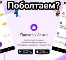 `Алиса` (`Яндекс`): отзывы, описание, использование