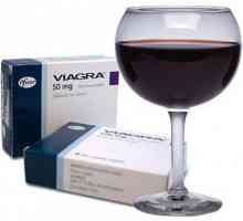 Alcoolul și Viagra: compatibilitate, rău, consecințe și recomandări