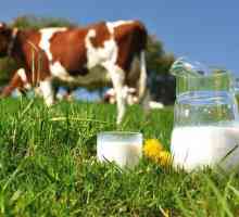 Alergia la proteinele din laptele de vacă la sugari - cauzele, simptomele și caracteristicile…