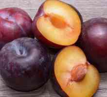 Alycha și prune - care este diferența? Proprietăți și caracteristici utile