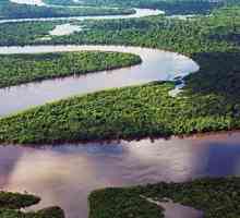 Amazonul este cel mai mare sistem fluvial de pe planetă. Utilizarea economică a râului Amazon