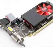 AMD Radeon HD 6450: prezentare generală a plăcii video