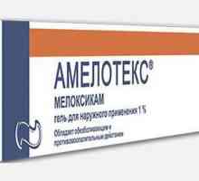 Amelotex (gel): instrucțiuni de utilizare