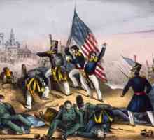Războiul american-mexican din 1846-1848. Începutul ostilităților, comandanților, teritoriile…