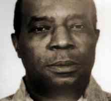 Gangster negru american și autoritate criminală Johnson Ellsworth: biografie, activități, istorie…