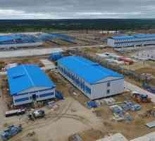 Fabrica de procesare a gazului Amur (Amur Gas Processing Plant) este cel mai mare proiect de…