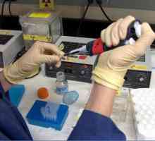 Test de sânge: tipuri, decodificare cu indicatori