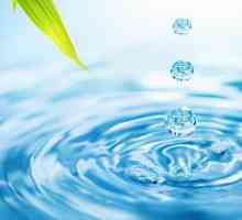 Analiza apei de canalizare: când este necesar