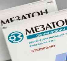 Analogii "Mezaton" în Rusia: lista, descrierea și instrucțiunile de utilizare