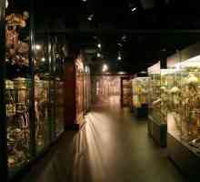 Muzeul Anatomic. Expoziții șocante ale muzeelor ​​anatomice din întreaga lume