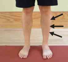 Anatomia piciorului: articulația lui Chopar
