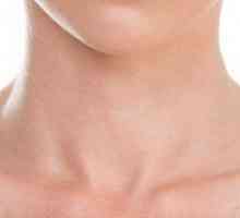Anatomie: structura gâtului unui bărbat în general