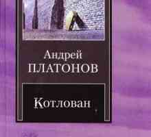 Andrei Platonov, "Capcanul": analiză. `Pit `Platonov: problematica muncii