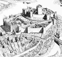 Anglia în Evul Mediu timpuriu: regii și evenimente