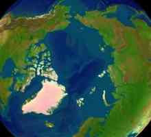 Antarctic și deșert arctic: solul, caracteristicile și caracteristicile solurilor