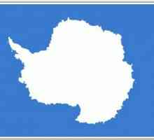 Antarctica: fapte interesante, descoperiri, descoperiri