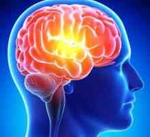 Encefalita anti-receptor: simptome și tratament