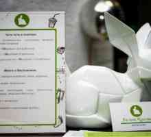 Антикафе `Белый кролик` (район Гольяново): описание, отзывы, цены