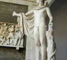 Apollo Belvedere - un simbol al artei Greciei antice