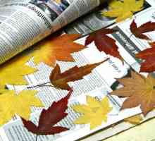 Aplicarea frunzelor pe o foaie de hârtie